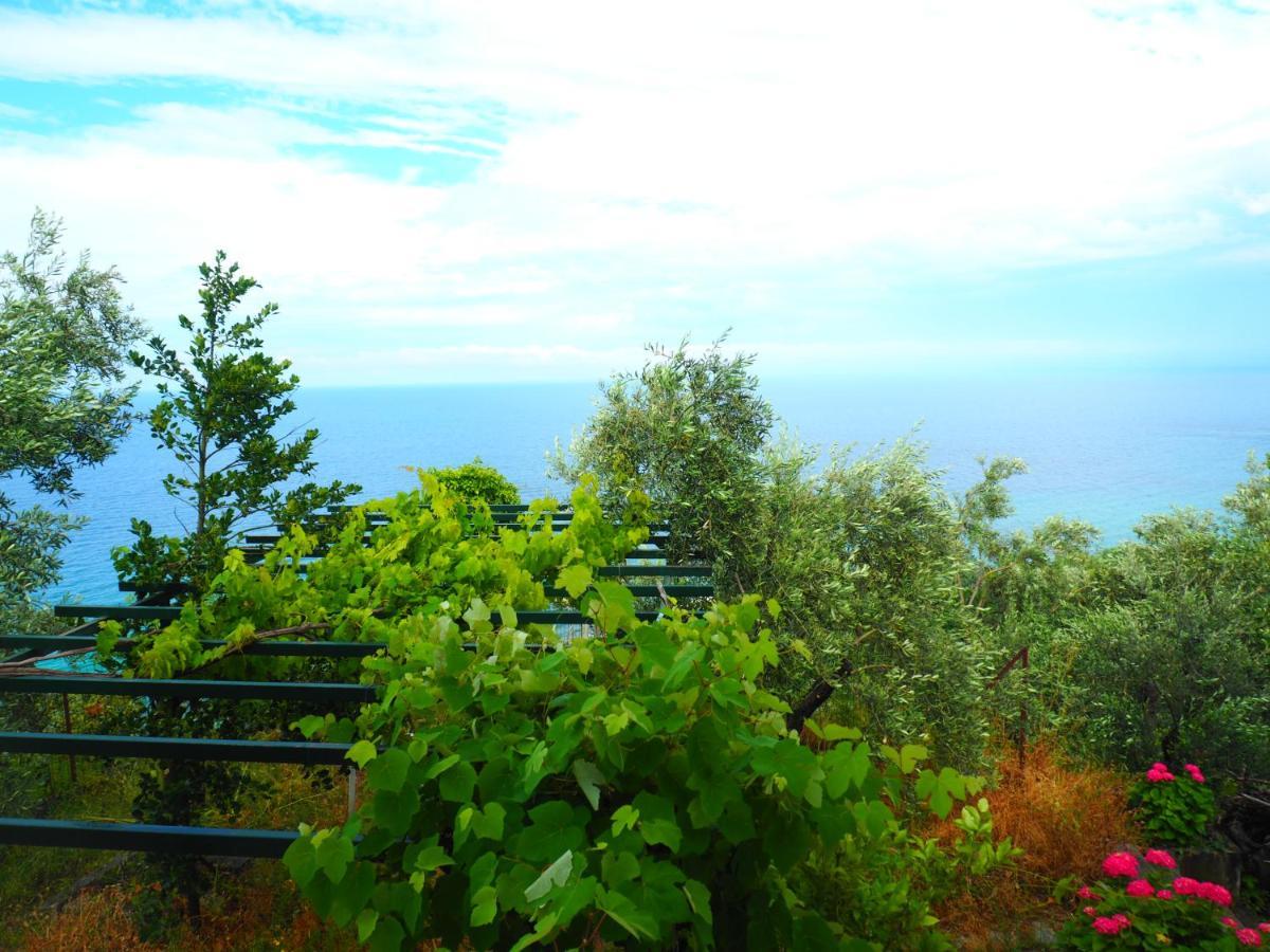 Agios Ioannis  Felitsia Apartments & Studios מראה חיצוני תמונה