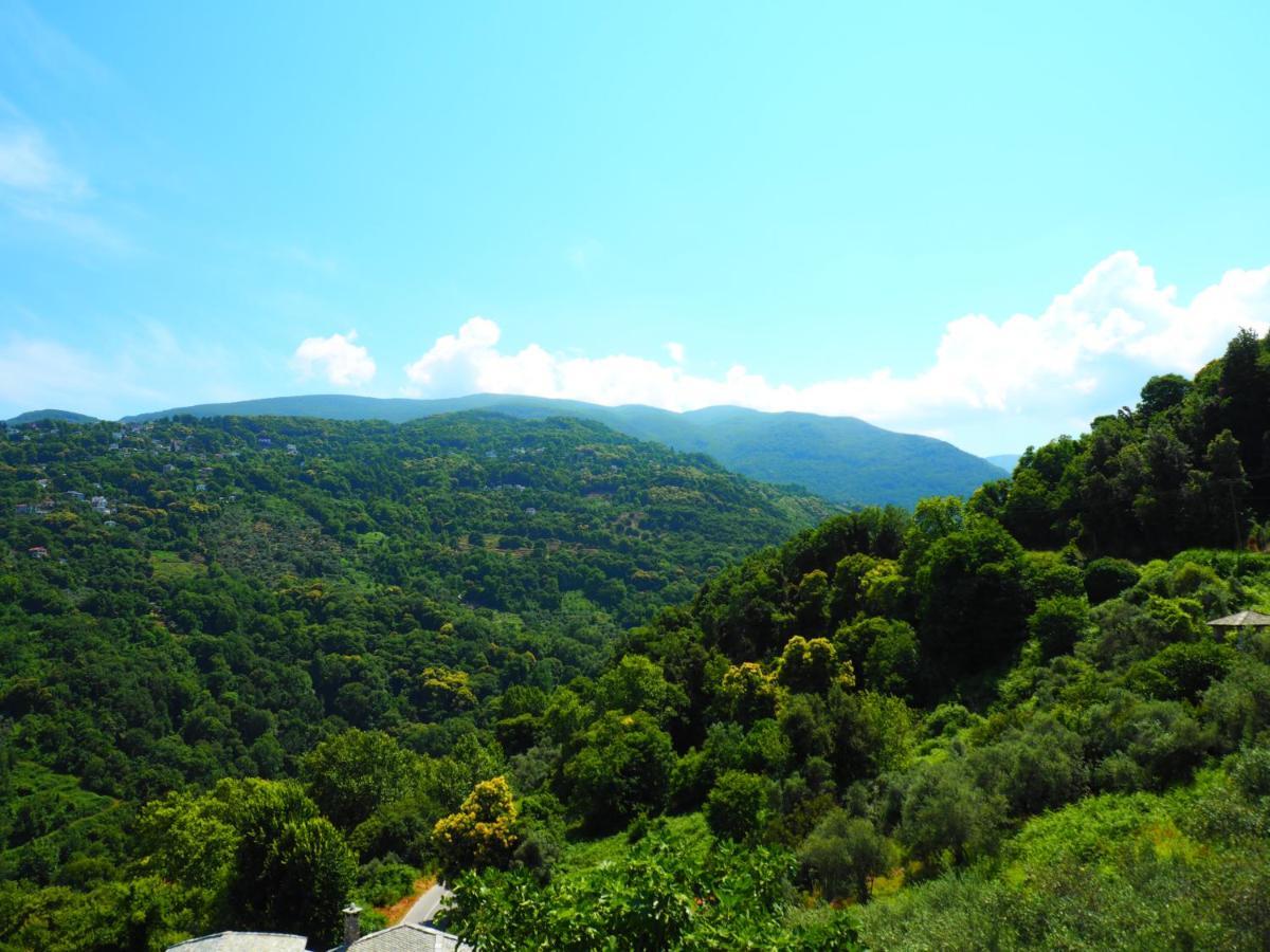 Agios Ioannis  Felitsia Apartments & Studios מראה חיצוני תמונה