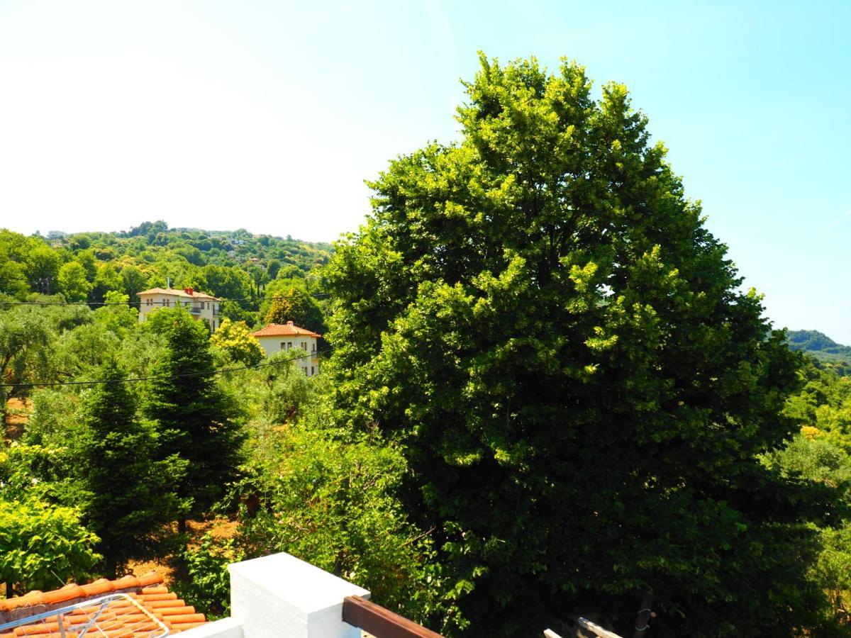 Agios Ioannis  Felitsia Apartments & Studios מראה חיצוני תמונה