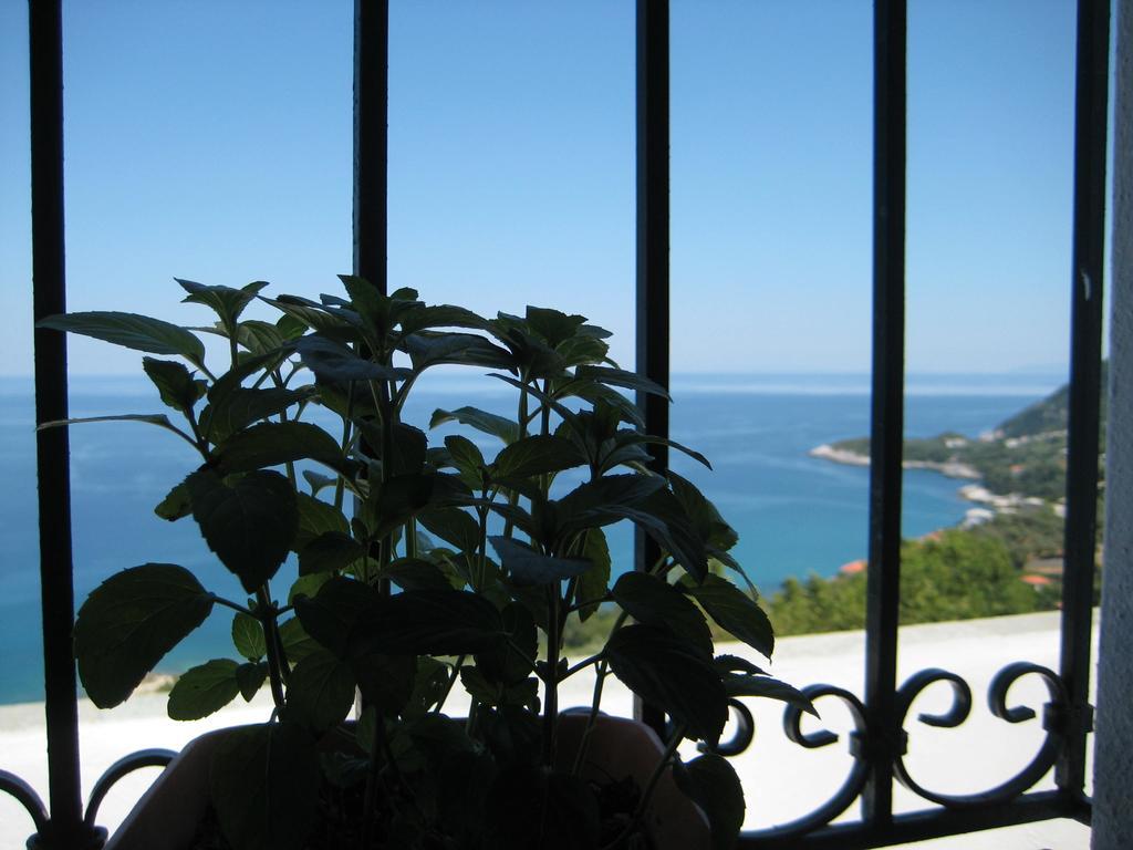 Agios Ioannis  Felitsia Apartments & Studios מראה חיצוני תמונה
