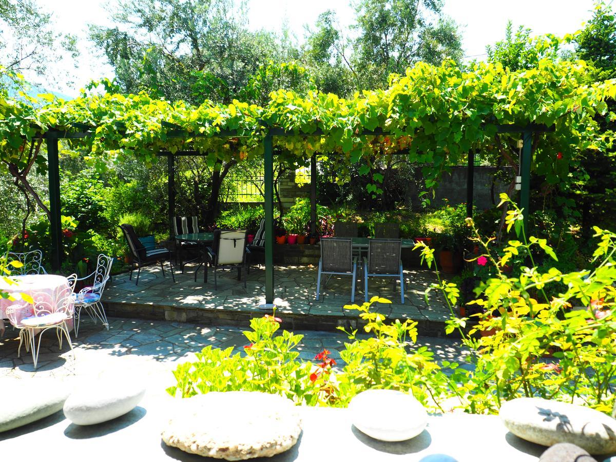 Agios Ioannis  Felitsia Apartments & Studios מראה חיצוני תמונה