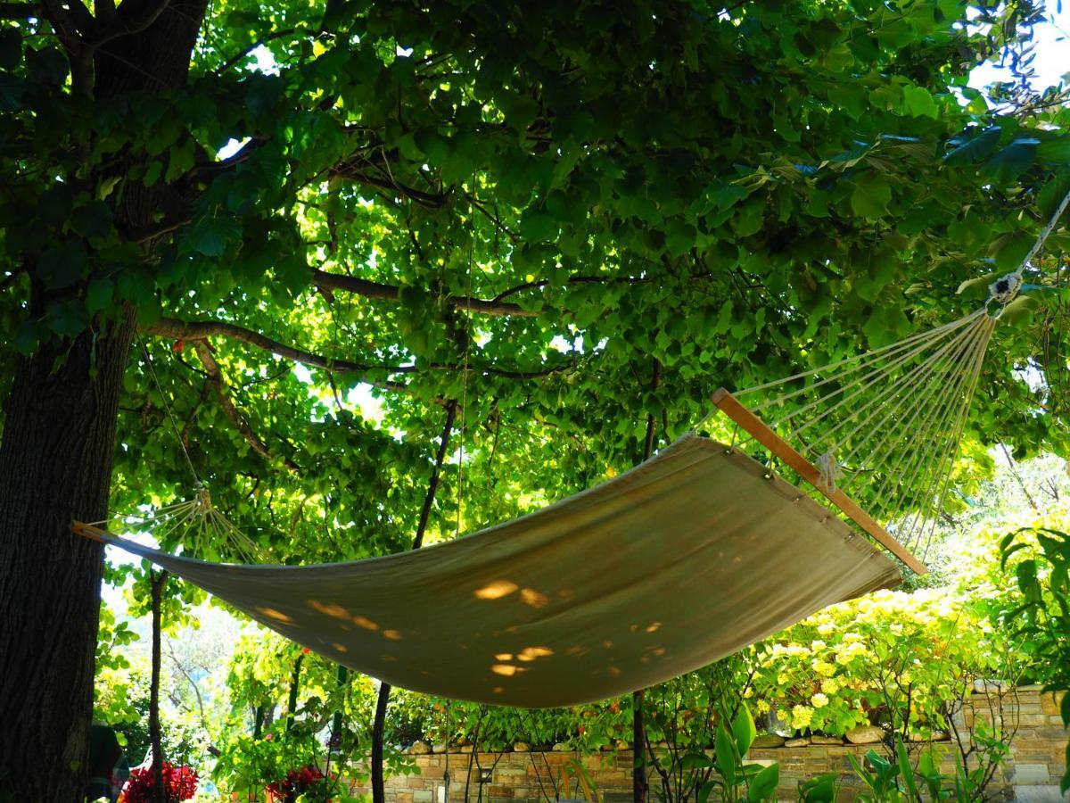 Agios Ioannis  Felitsia Apartments & Studios מראה חיצוני תמונה