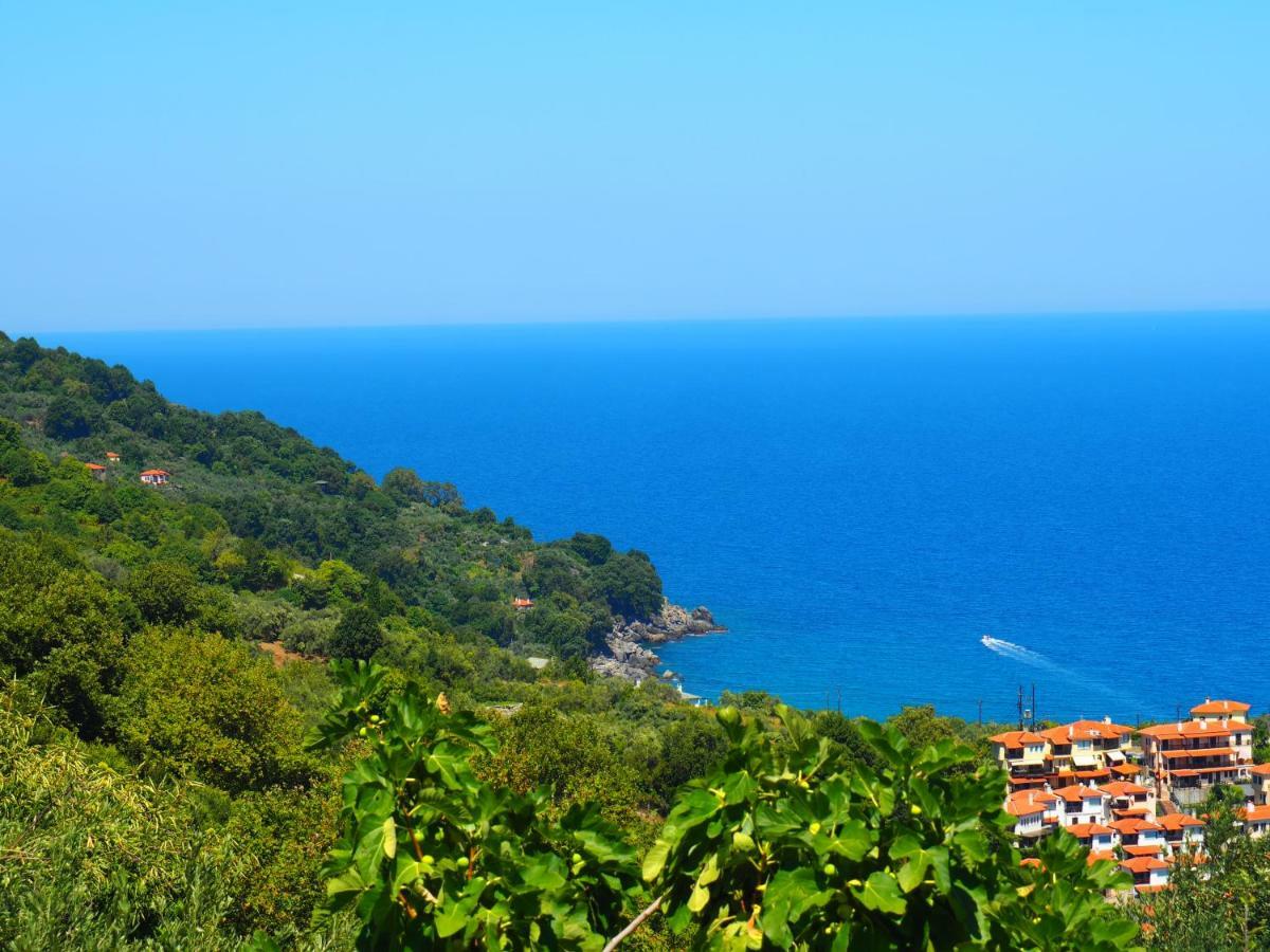 Agios Ioannis  Felitsia Apartments & Studios מראה חיצוני תמונה