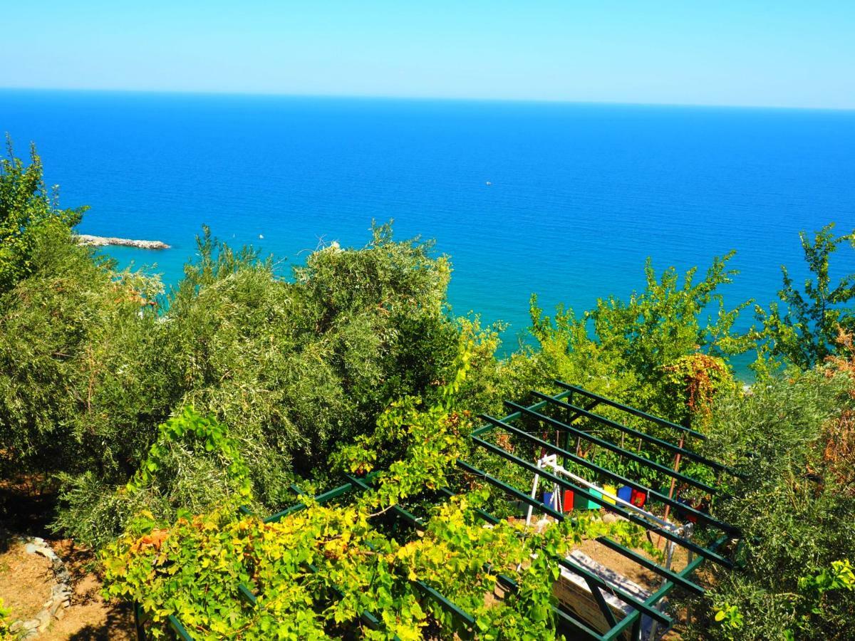 Agios Ioannis  Felitsia Apartments & Studios מראה חיצוני תמונה